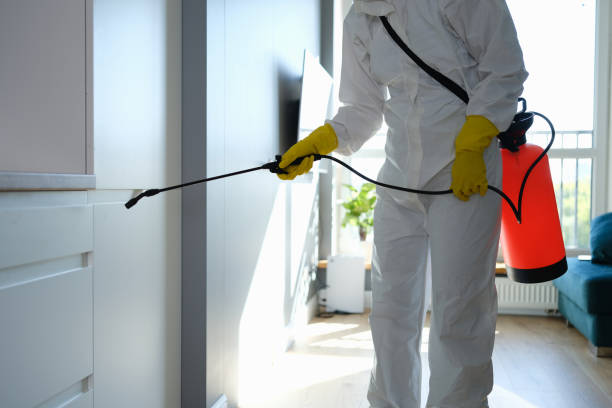 Best Fast Mold Removal  in Bedminster, NJ