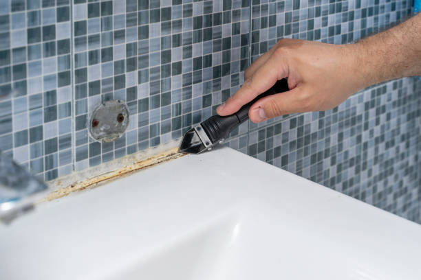Best Mold Removal Company Near Me  in Bedminster, NJ