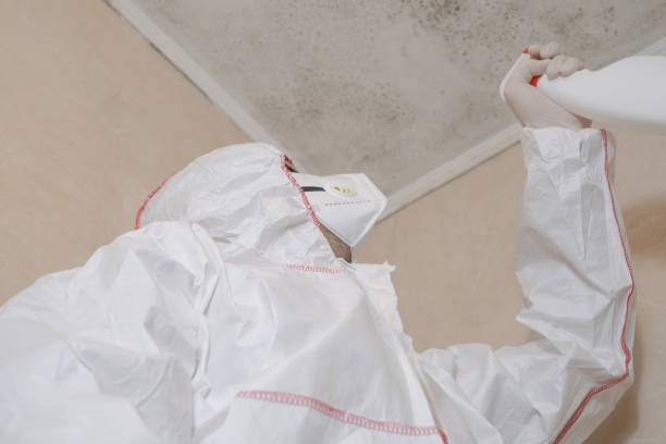 Best Mold Testing  in Bedminster, NJ