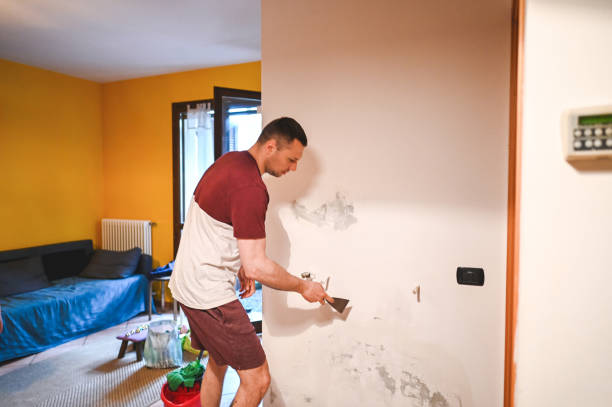 Best Office Mold Removal Services  in Bedminster, NJ